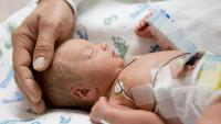 tiny baby in adult hands